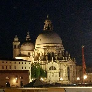 Meet your Posher, Shelly